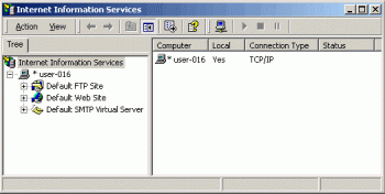 ASP. Работа с Internet Information Server (IIS)